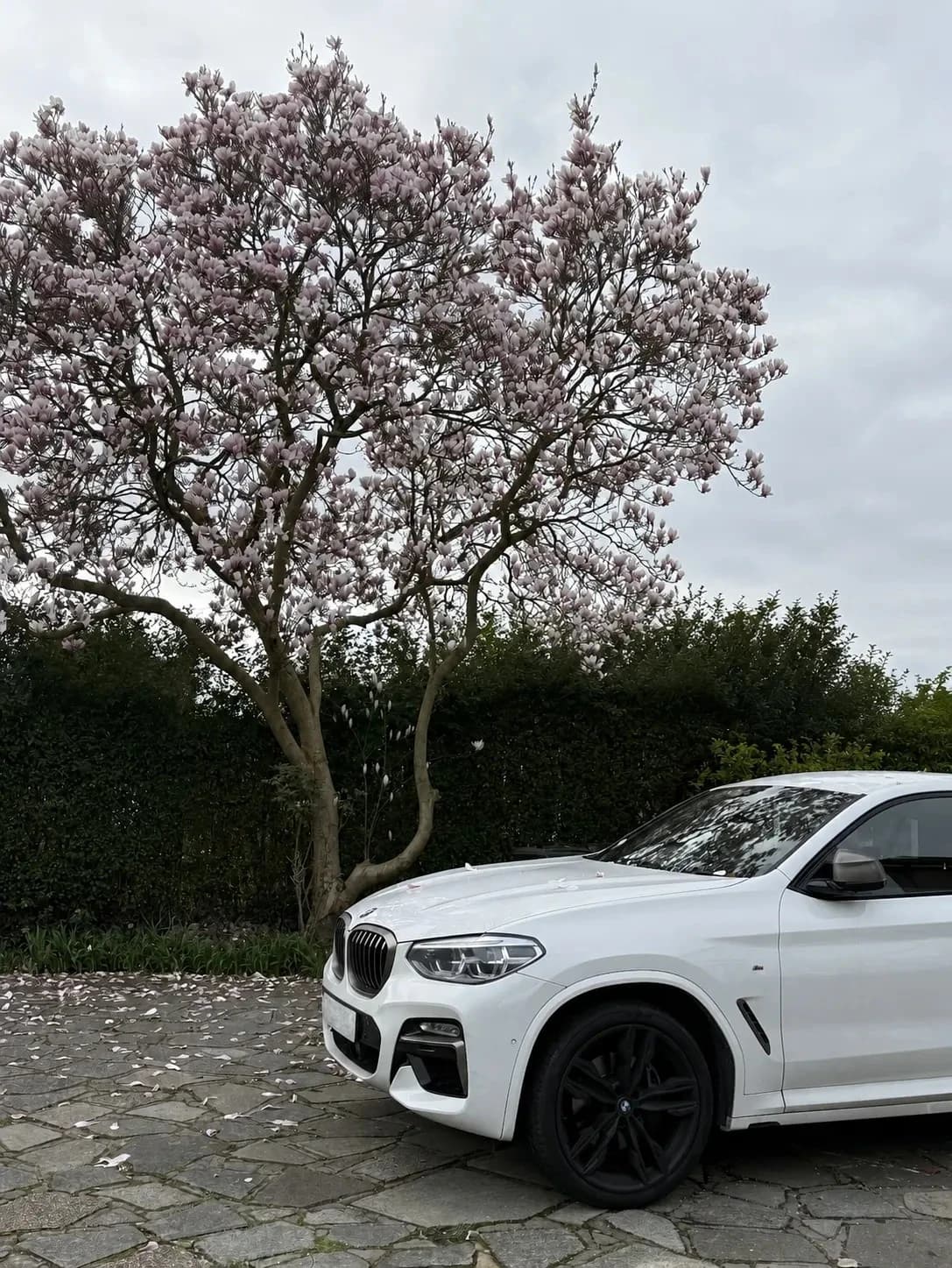 Current car